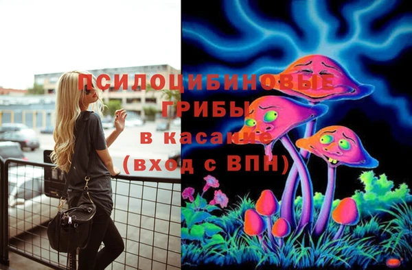 прущие крисы Алзамай